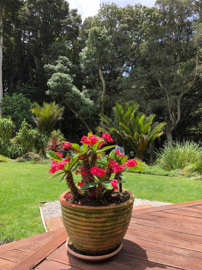 N.Z Country Home Whangarei Kültér fotó
